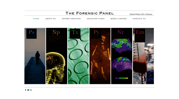 forensicpanel.com