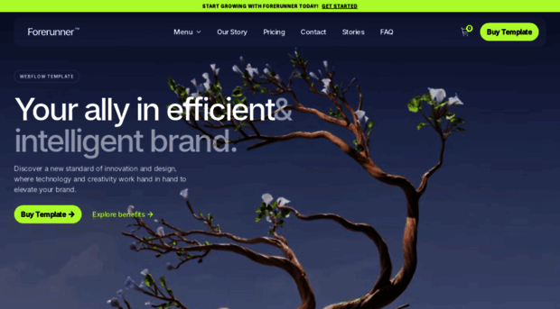 forerunner-template.webflow.io