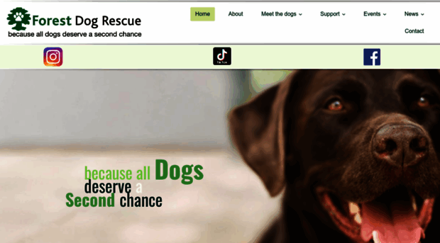 forest-dog-rescue.org.uk