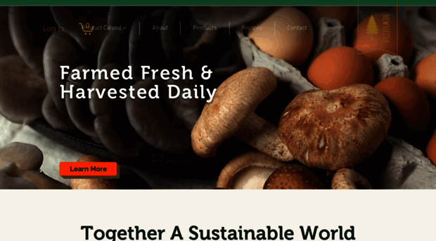 forest-fork.com