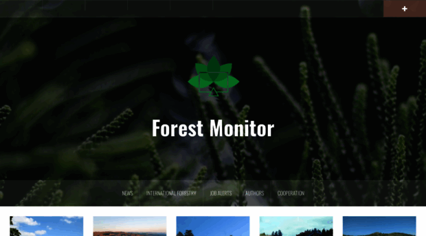 forest-monitor.com