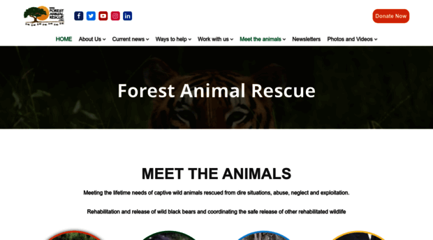 forestanimalrescue.org