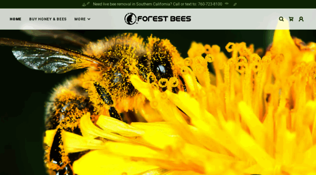 forestbees.com