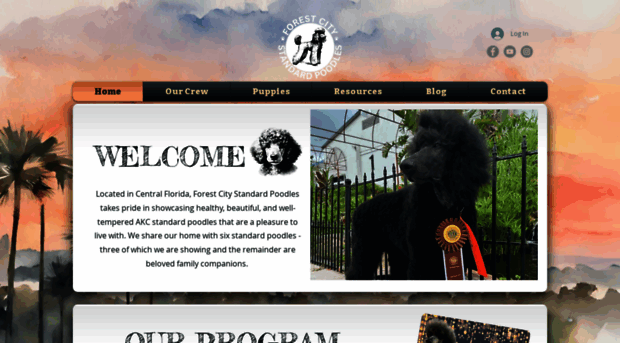 forestcitystandards.com