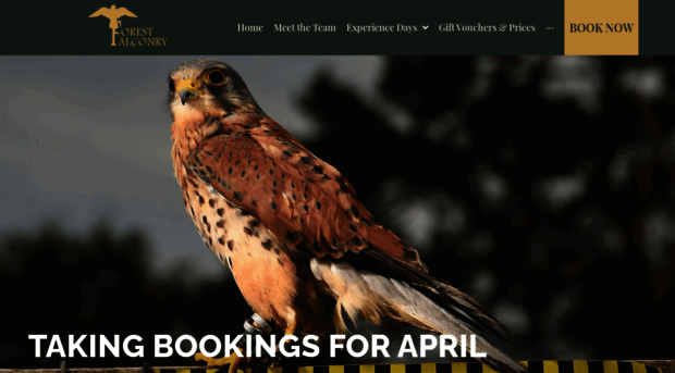 forestfalconry.com