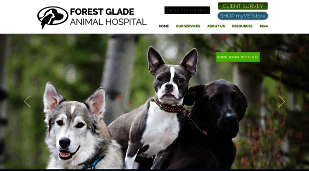 forestgladeanimalhospital.com