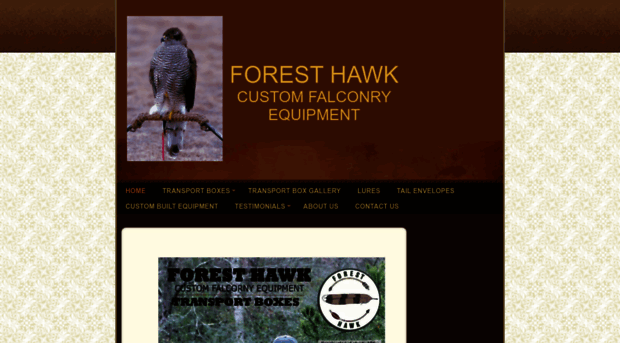 foresthawkfalconry.com