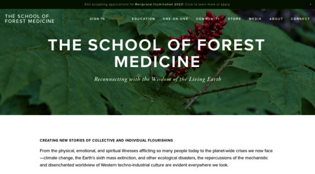 forestmedicine.net