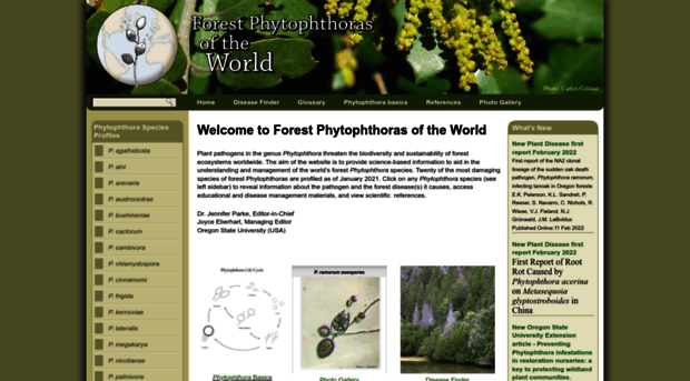 forestphytophthoras.org