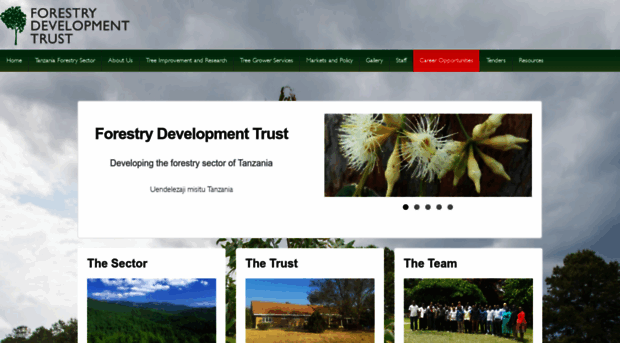 forestry-trust.org