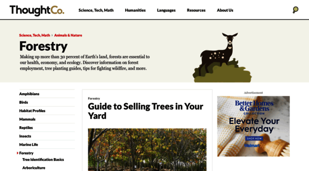 forestry.about.com