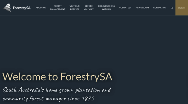 forestrysa.com.au