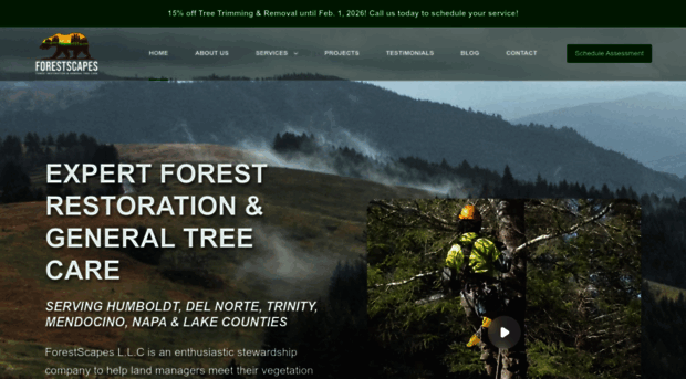forestscapesllc.com