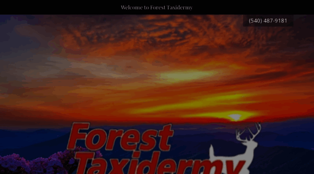 foresttaxidermy.com