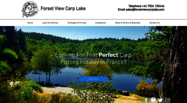 forestviewcarplake.com