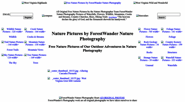 forestwander.com