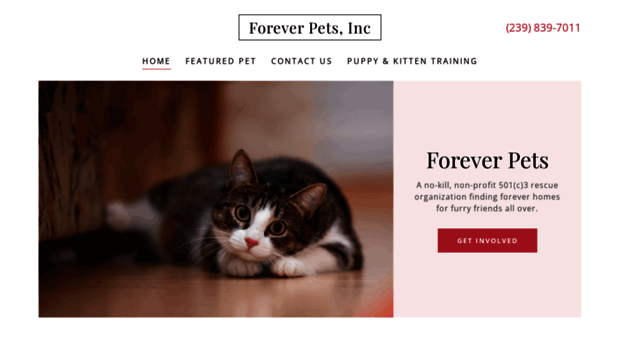 forever-pets.org