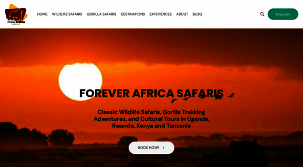 foreverafricasafari.com