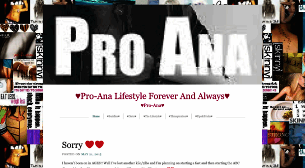 foreverandalwaysproana.wordpress.com