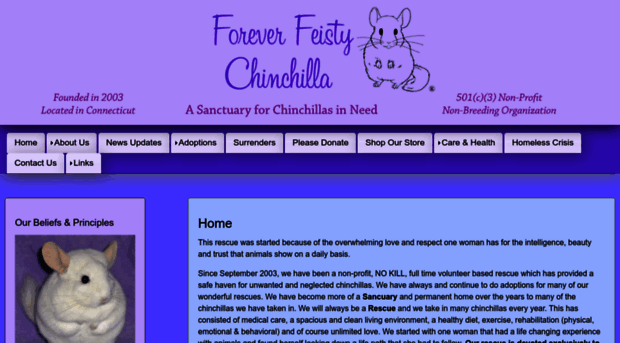 foreverfeistychinchilla.org