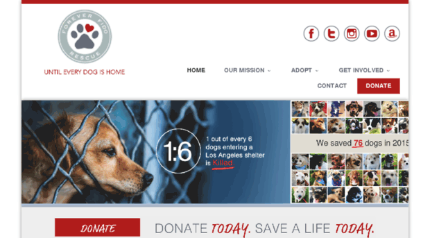 foreverfidorescue.nationbuilder.com