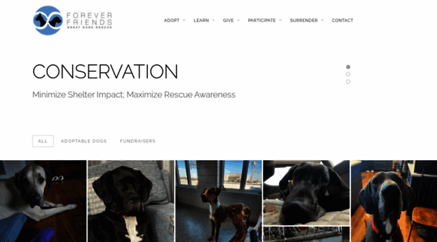 foreverfriendsgdri.com