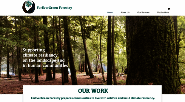 forevergreenforestry.com