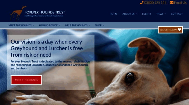 foreverhoundstrust.org