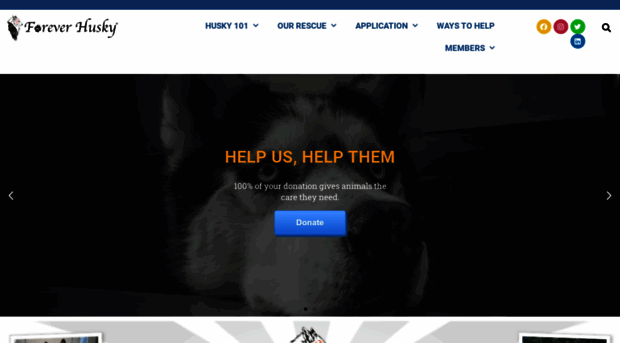 foreverhusky.org