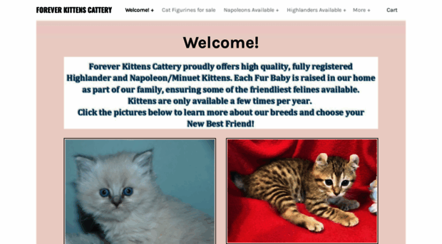 foreverkittenscattery.com