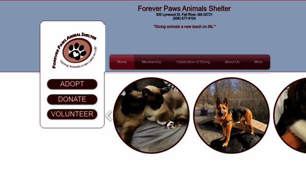 foreverpaws.com