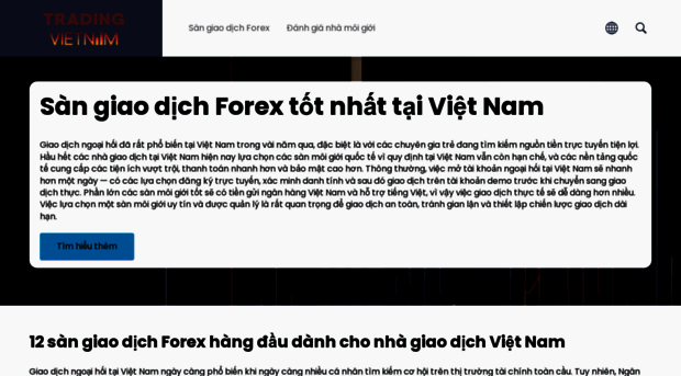 forex-vietnam.net