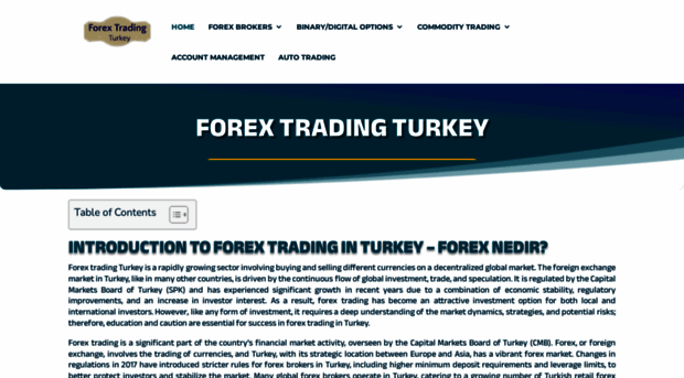 forextradingturkey.com