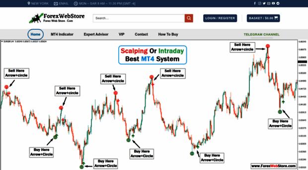 forexwebstore.com