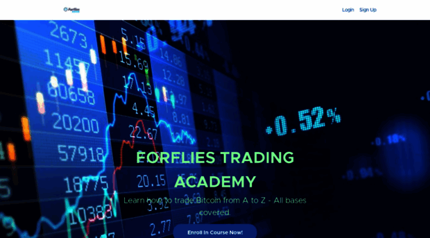 forflies-academy.teachable.com