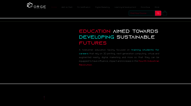 forgeacademy.co.za