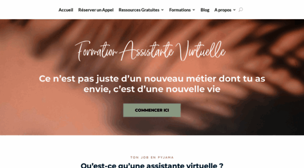 formation-assistant-blogueur.com