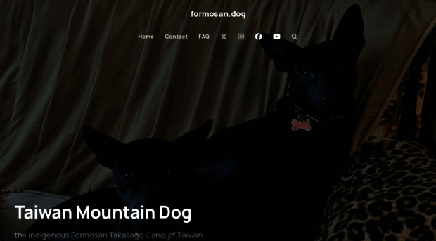 formosan.dog