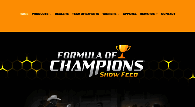 formulaofchampions.com