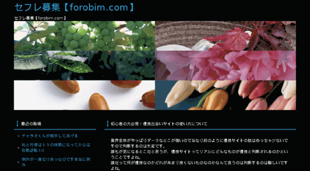 forobim.com