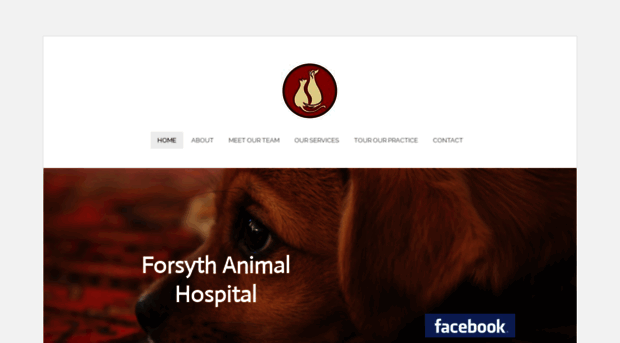 forsythanimalhospital.com