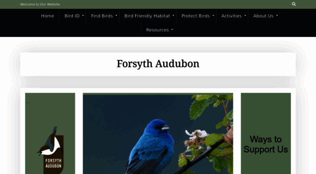 forsythaudubon.org