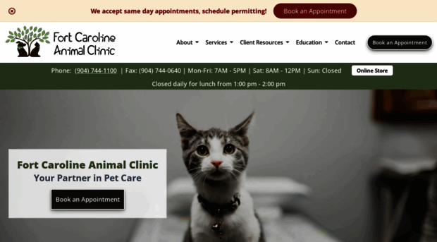 fortcarolineanimalclinic.com