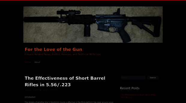 fortheloveofthegun.wordpress.com