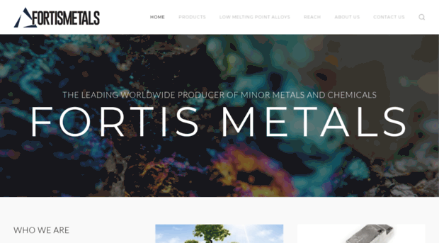 fortismetals.com