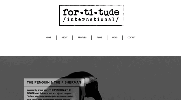 fortitudeint.com