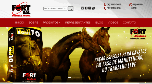 fortsal.com.br