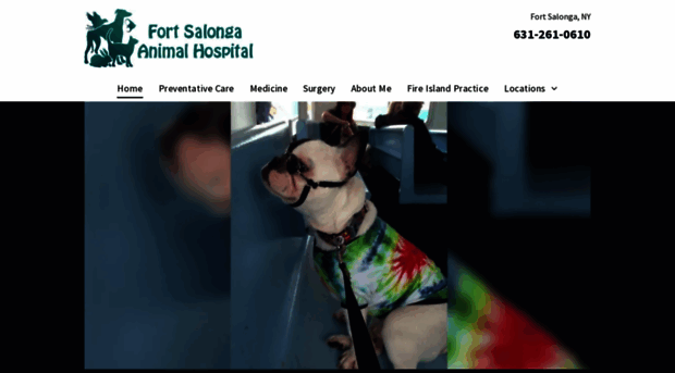 fortsalongaanimalhospital.com