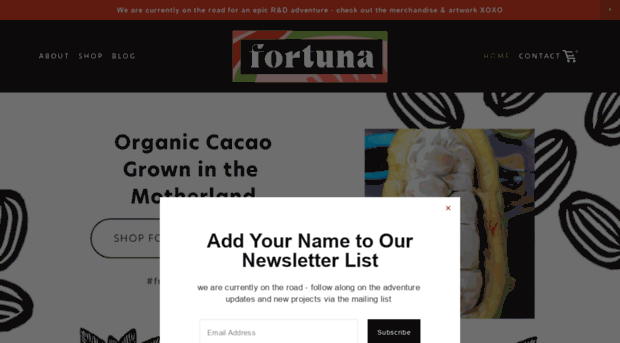 fortuna-chocolate.com