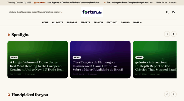 fortuneinsight.de